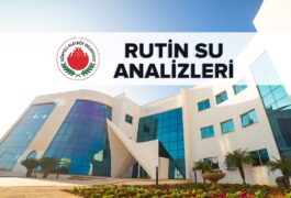 su analizi